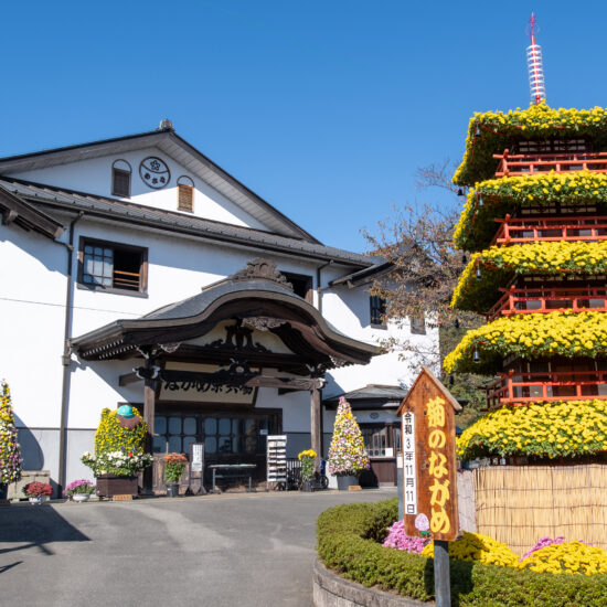 Nagame餘興場